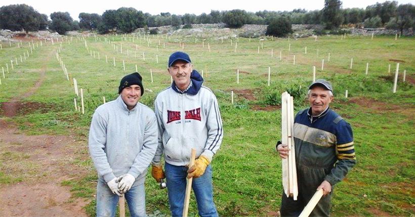 Il percorso tricolore e la logistica di Pezze di Greco